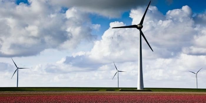 OZE z najwyższym udziałem w produkcji energii elektrycznej w UE w I poł. 2020 roku, fot. unsplash.com