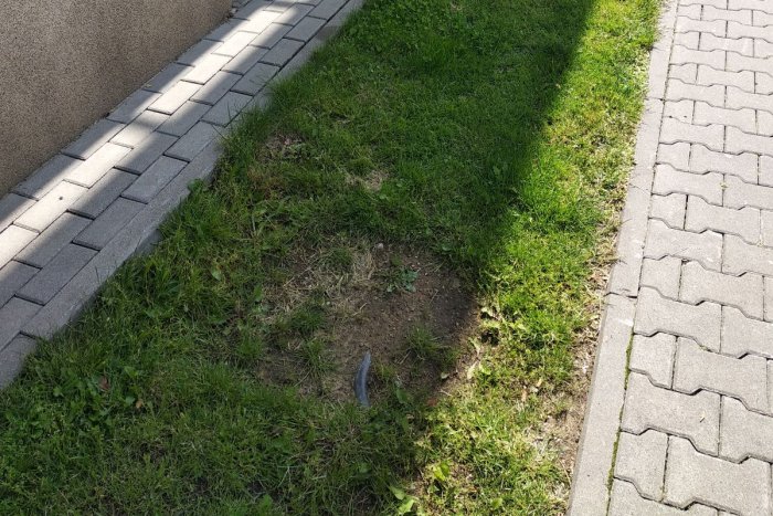 wystajacy kabel 0619 134239 2