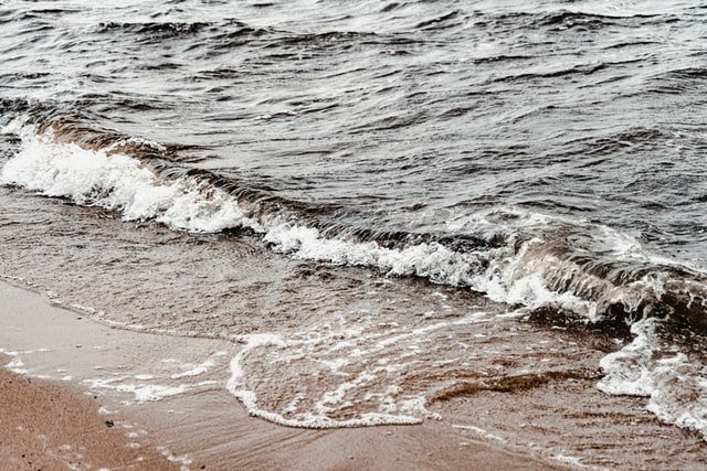 fot. Unsplash