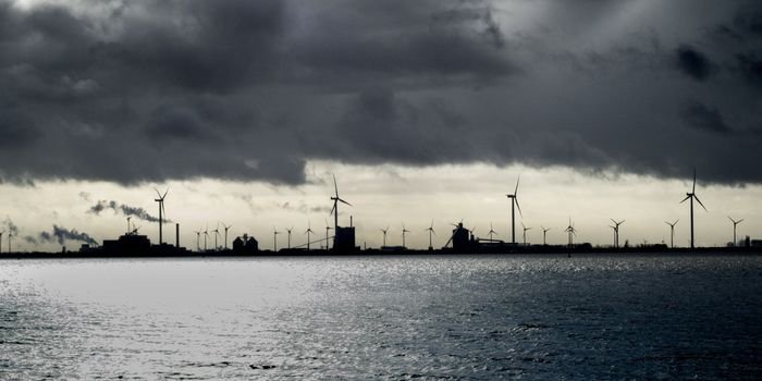 fot. Unsplash