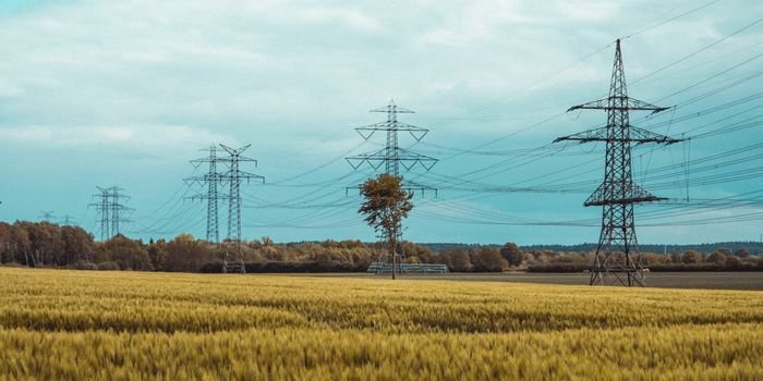 Fot. Unsplash