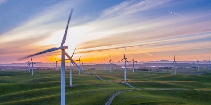 Elektrownia wiatrowa. Fot. Unsplash