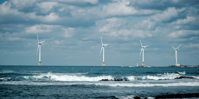 Morska elektrownia wiatrowa. Fot. Unsplash