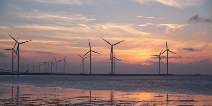 Rozw&oacute;j farm wiatrowych na Bałtyku może wymagać specustawy, fot. pexels.com