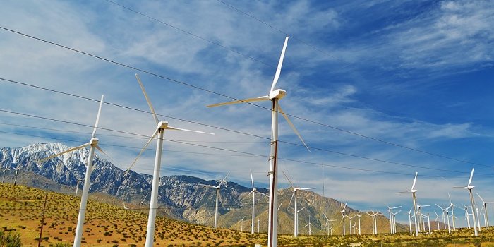 Farma wiatrowa w Palm Springs w Kalifornii, fot. Pixabay