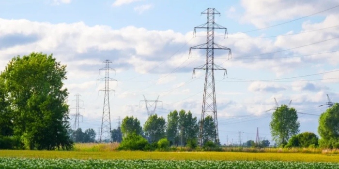 Energa-Operator modernizuje ważną linię w Wielkopolsce, fot. Energa-Operator&nbsp;