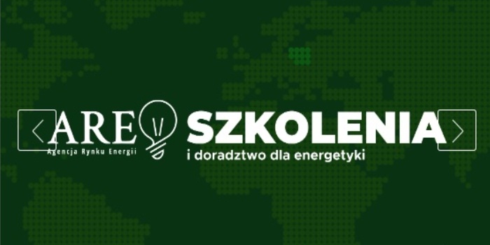 27 lutego odbędzie się szkolenie on-line &bdquo;Podstawy rynku mocy w Polsce&rdquo;