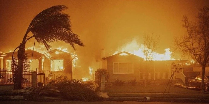 Awarie sieci energetycznych mogły być przyczyną pożar&oacute;w w Los Angeles. Fot. Ethan Swope/AP