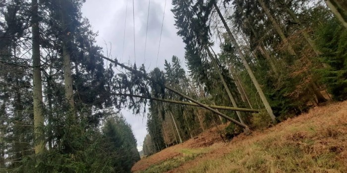 Awaria napowietrznych linii elektroenergetycznych WN w terenie leśnym. Fot. Alterga.