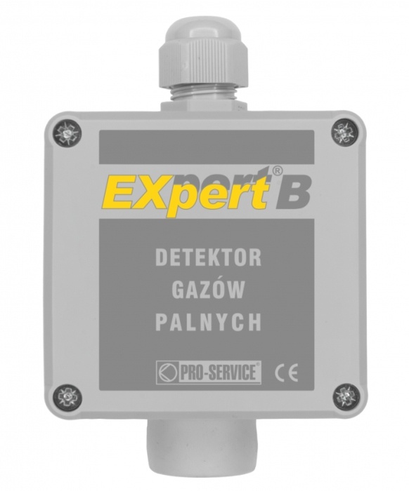 pro service expert b