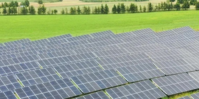 Rosnąca moc OZE przyłączanych do sieci wymaga elastycznej infrastruktury średniego napięcia, automatyki i nowoczesnych układ&oacute;w rozdzielczych. Fot. Energa-Operator